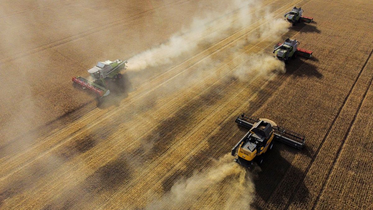 EU uvalí clo na obilí z Ruska a Běloruska